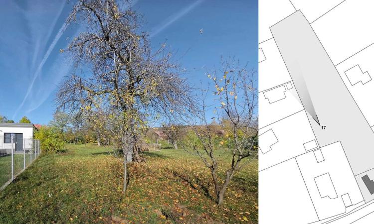 Teren intravilan BREBU MANASTIREI 3163 mp