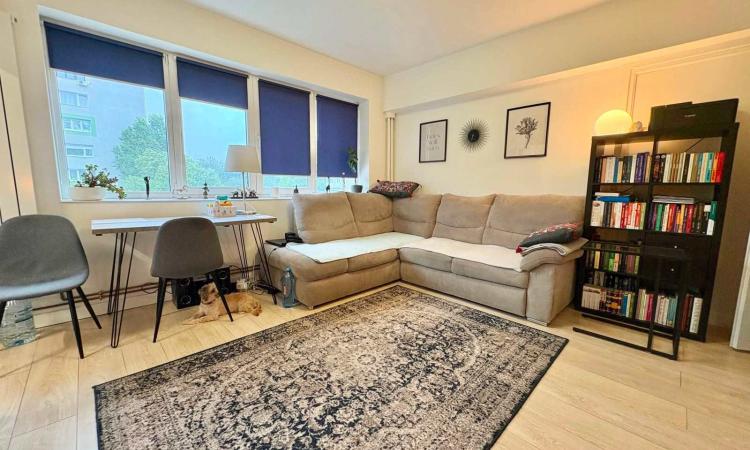 3 Camere - Ion Mihalache - Popisteanu