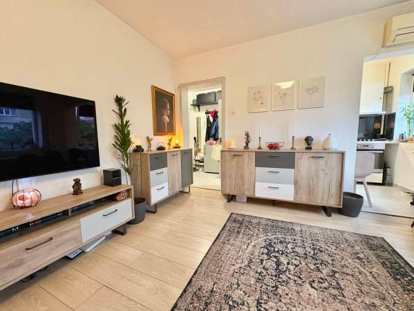 3 Camere - Ion Mihalache - Popisteanu