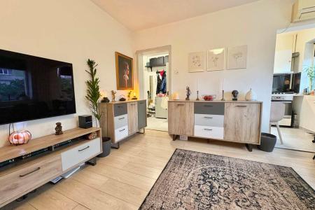 3 Camere - Ion Mihalache - Popisteanu