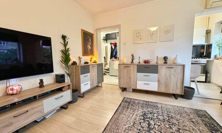 3 Camere - Ion Mihalache - Popisteanu