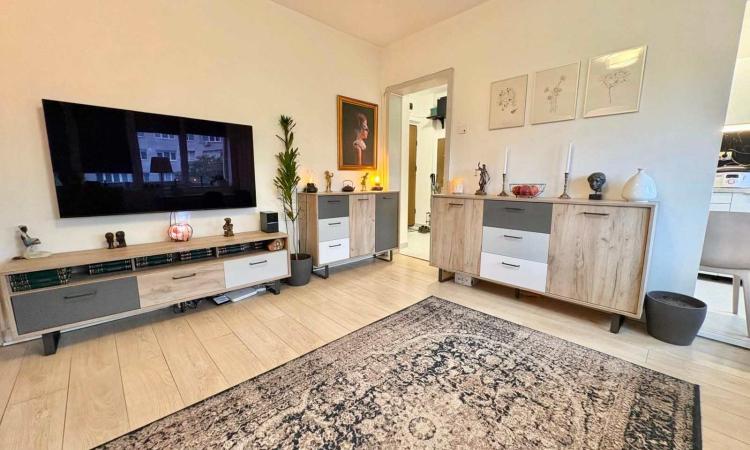 3 Camere - Ion Mihalache - Popisteanu