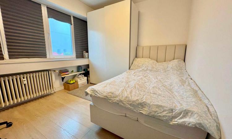 3 Camere - Ion Mihalache - Popisteanu