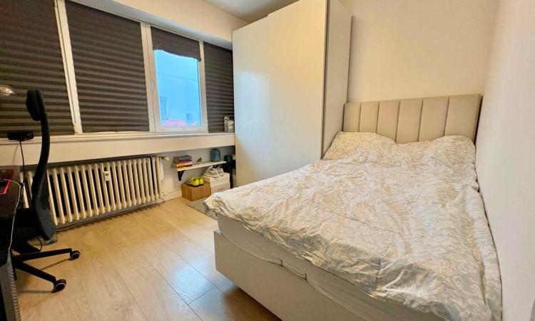 3 Camere - Ion Mihalache - Popisteanu