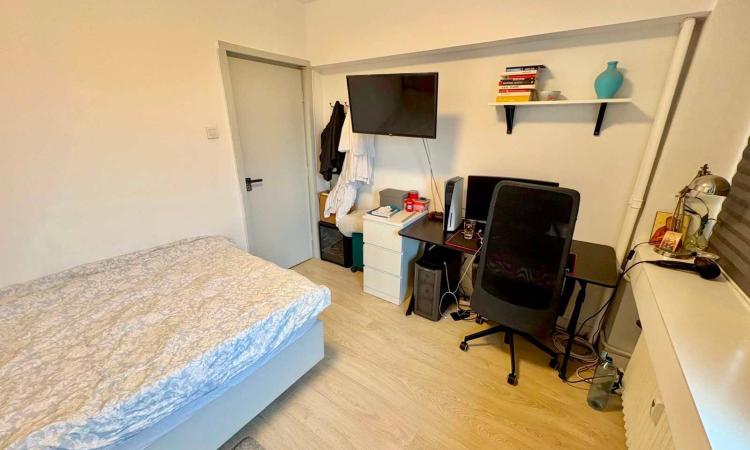 3 Camere - Ion Mihalache - Popisteanu