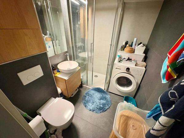 3 Camere - Ion Mihalache - Popisteanu