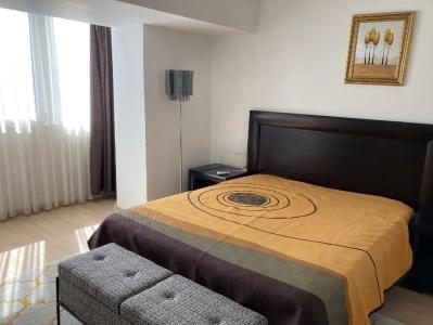 Piata Alba Iulia - Rond Alba Iulia - prima inchiriere - parcare ADP