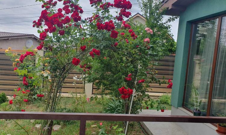 Mamaia Sat , pensiune 10 camere, 10 bai, posibilitate rate