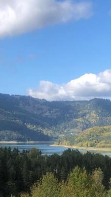 ceahlau , 10000mp total , lotizare la cererea clientului , vedere superba catre lac