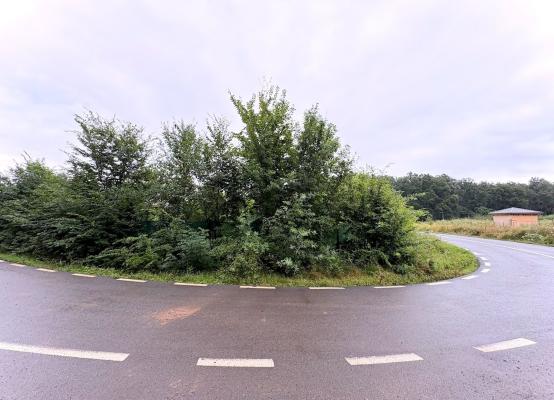 Teren cu vedere la padure – Snagov, Ghermanesti, Str. Razboieni