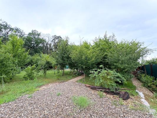 Teren cu vedere la padure – Snagov, Ghermanesti, Str. Razboieni