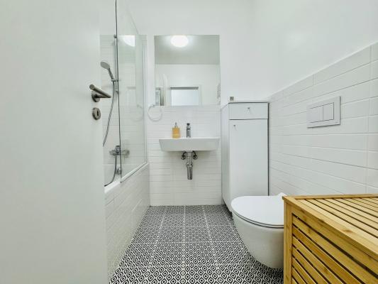 2 Camere - Aviatiei Park - Bloc Nou