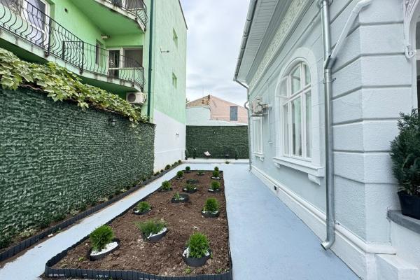 Casa - Dudesti - Alba Iulia - Activitati Comerciale