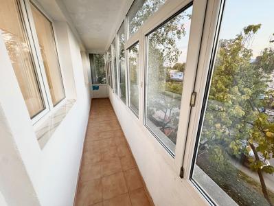 2 Camere - Ion Mihalache - Aviator Popisteanu