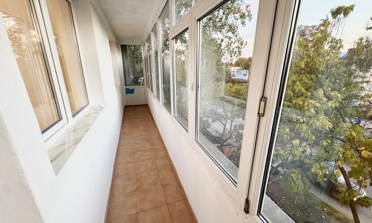 2 Camere - Ion Mihalache - Aviator Popisteanu