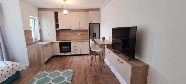 Apartament 1 cameră, zona Centrul Vechi!