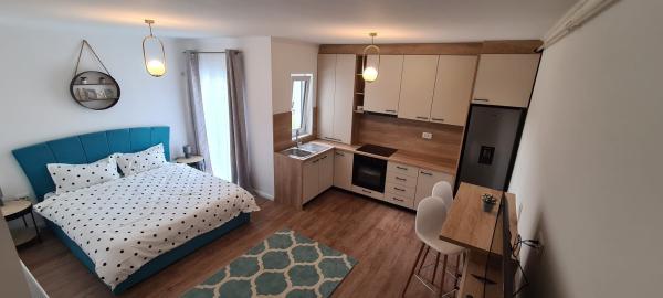 Apartament 1 cameră, zona Centrul Vechi!