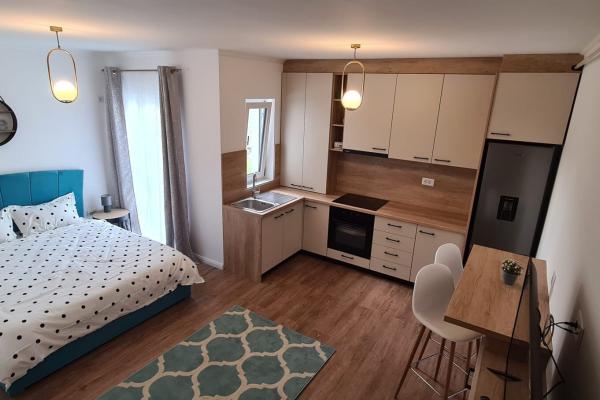 Apartament 1 cameră, zona Centrul Vechi!