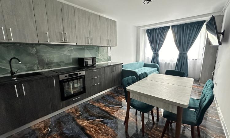 Închiriere, apartament 2 camere,Victor Babeș,Universitatea de Nord