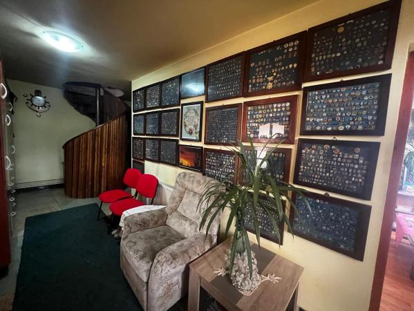 Casă individuală ,P+2 ,teren 565 mp ,Vasile Alecsandri,oportunitate INVESTIȚIE!