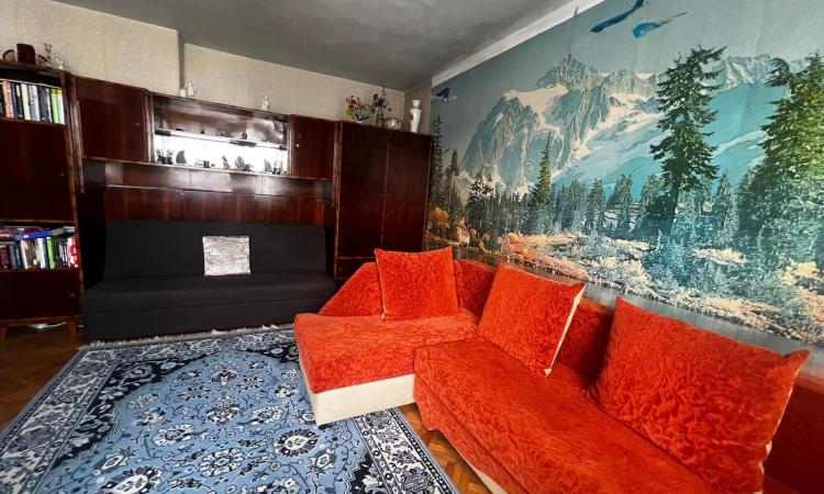 Casă individuală ,P+2 ,teren 565 mp ,Vasile Alecsandri,oportunitate INVESTIȚIE!