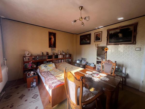Casă individuală ,P+2 ,teren 565 mp ,Vasile Alecsandri,oportunitate INVESTIȚIE!
