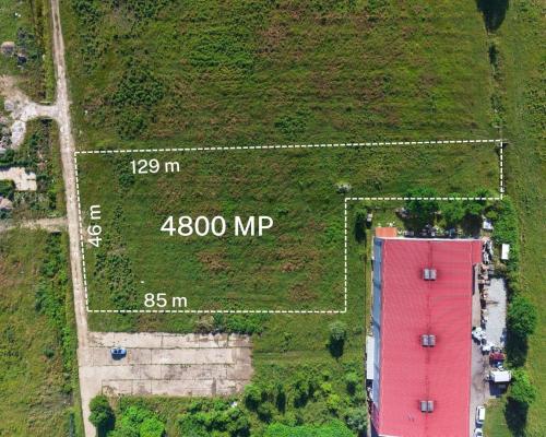 Teren intravilan zona Magus  ,PUZ aprobat, Baia Mare, 48 ari