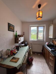 Apartament 2 camere Independentei ,zona Vivo Mall