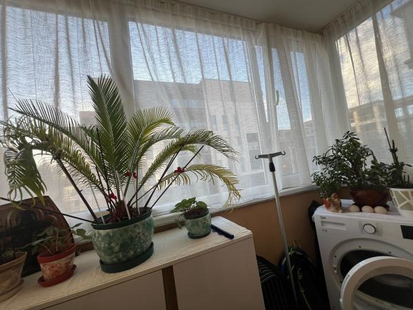 Apartament 3 camere, ultracentral, etaj 2, Casa de Pensii /Hortensiei, 0% comision