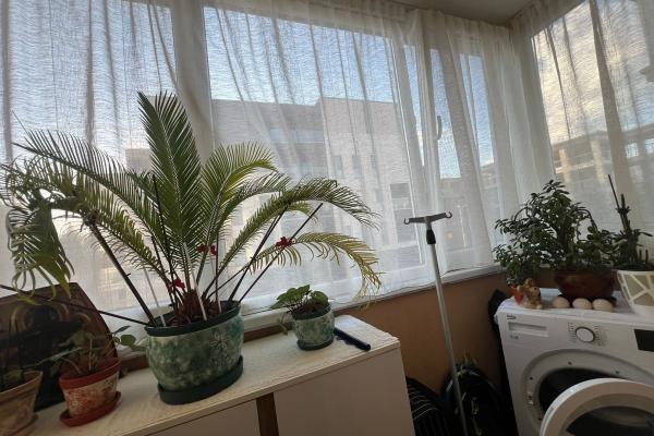 Apartament 3 camere ,ultracentral ,Casa de Pensii /Hortensiei ,etaj 2/schimb cu 2 camere
