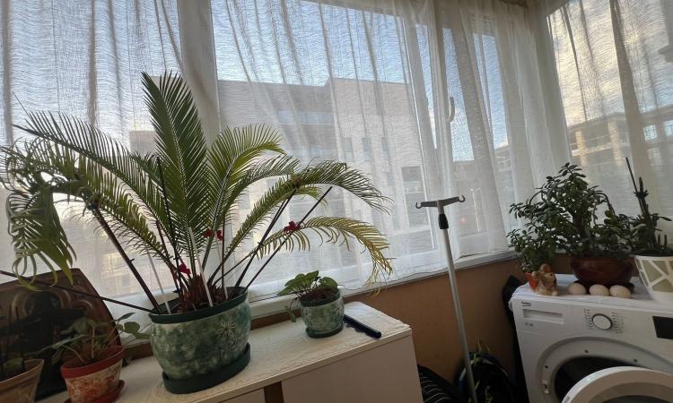 Apartament 3 camere, ultracentral, etaj 2, Casa de Pensii /Hortensiei, 0% comision
