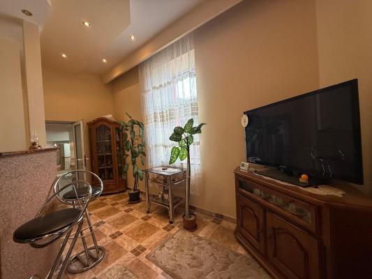 Casa Centrul vechi Baia Mare ,490 mp teren , zona excelenta!