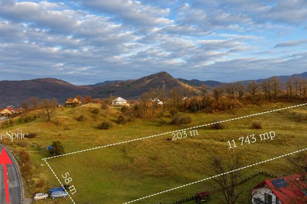 Teren Baia Sprie la soseaua principala ,langă pensiunea Madlene ,1 ha