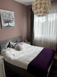 Apartament 2 camere ,Centrul vechi V.Lucaciu ,modern gata de mutare,etaj 1