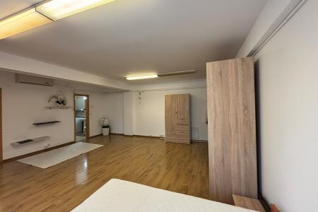 Închiriere apartament 1 cameră, 55 mp - Zona Hotel Europa