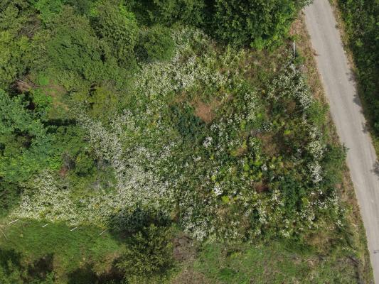 Teren intravilan Ardusat, 1000 mp, acces din drum asfaltat