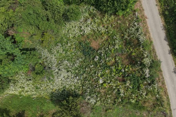 Teren intravilan Ardusat, 1000 mp, acces din drum asfaltat