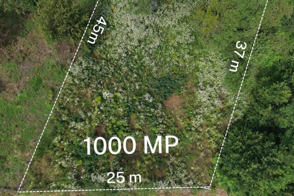 Teren intravilan Ardusat, 1000 mp, acces din drum asfaltat
