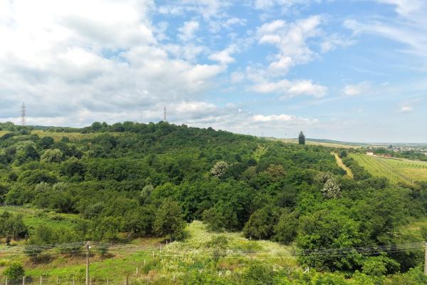 Teren intravilan Ardusat, 1000 mp, acces din drum asfaltat