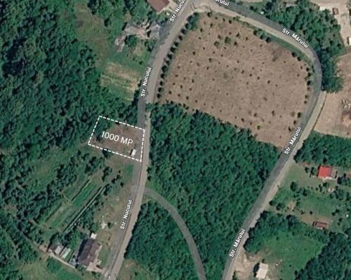 Teren intravilan Ardusat, 1000 mp, acces din drum asfaltat