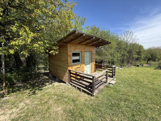 Casă deosebită cu livadă și teren de 6.790 mp | Berința, la doar 19 km de Baia Mare
