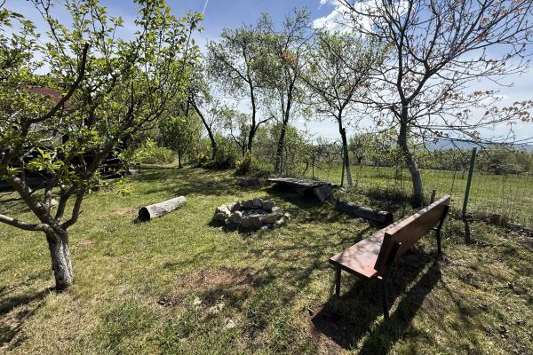 Casă deosebită cu livadă și teren de 6.790 mp | Berința, la doar 19 km de Baia Mare