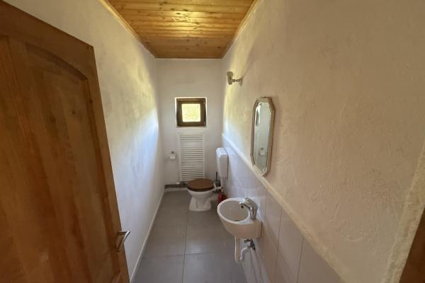 Casă deosebită cu livadă și teren de 6.790 mp | Berința, la doar 19 km de Baia Mare