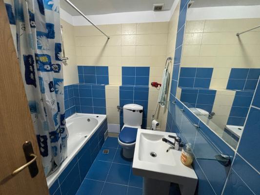 Închiriere - apartament cu 3 camere - Zona Piata Izvoare