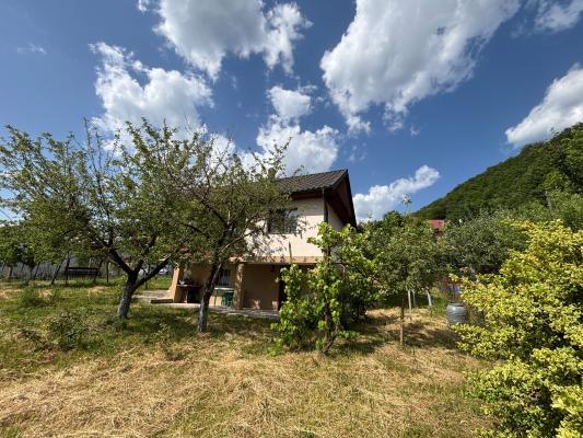 Casă individuală P+1 , Cicârlău