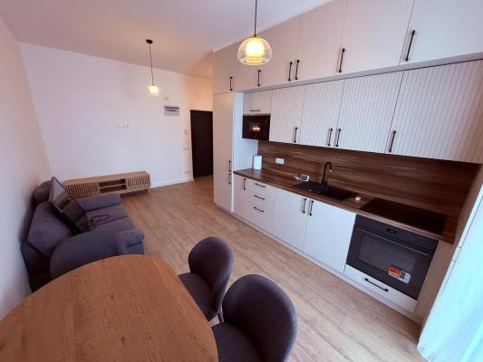 Apartament de închiriat 2 camere Strada Vasile Alecsandri, Baia Mare