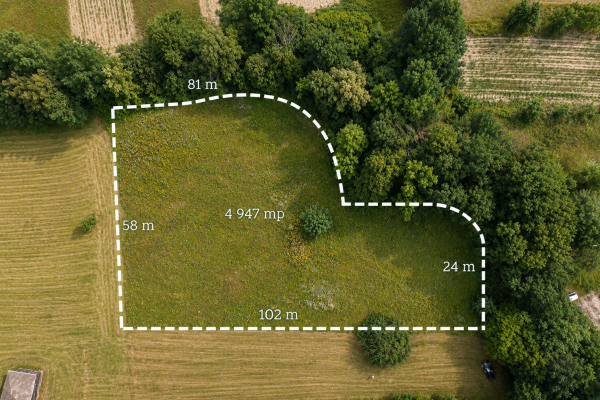 Teren 49 ari ,Rus, 15 min de Baia Mare,ideal casa