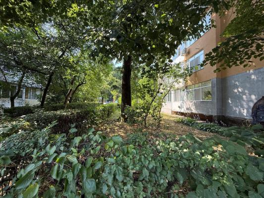 Garsoniera , Cosbuc zona Carrefour , parter