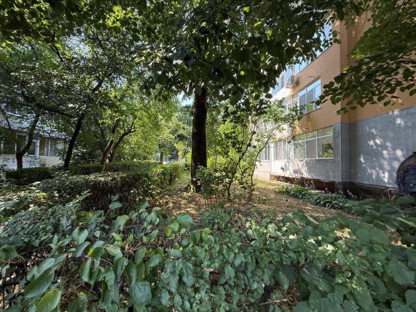 Garsoniera , Cosbuc zona Carrefour , parter