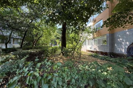 Garsoniera , Cosbuc zona Carrefour , parter